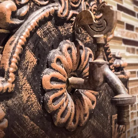 Vrhovi Kopaonika 公寓 科帕奥尼克